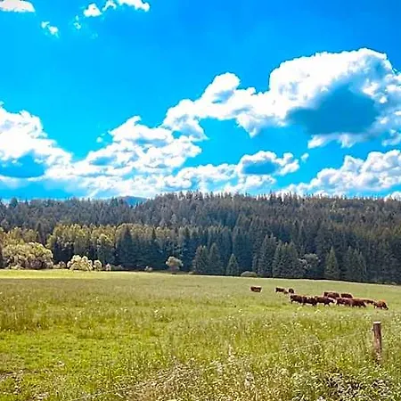 Klára Frymburk